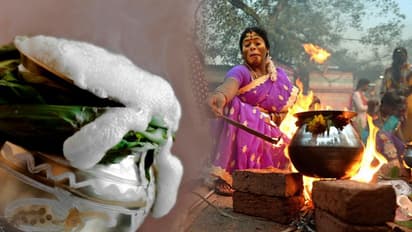 கொட்டி கிடக்கும் சந்தோஷத்தை தொலைத்து விட்டு... சாதாரணமாய் பொங்கலை கடந்து செல்லும் நகர வாசிகள்!