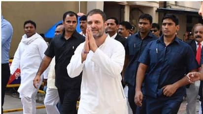 Watch Rahul Gandhi's dance moves at tribal dance fest