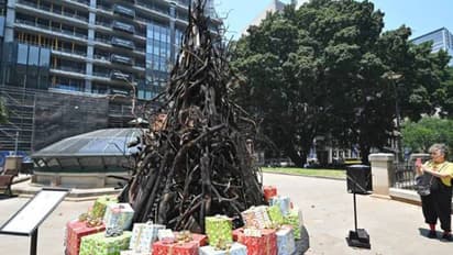 കത്തിക്കരിഞ്ഞ സൈക്കിള്, സമ്മാനങ്ങള്; ഓസ്ട്രേലിയയെ ചുട്ടെരിക്കുന്ന കാട്ടുതീയുടെ പ്രതീകമായി ക്രിസ്മസ് ട്രീ