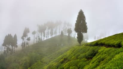 Spend a vacation in Darjeeling with less than Rs 5,000 in your pocket