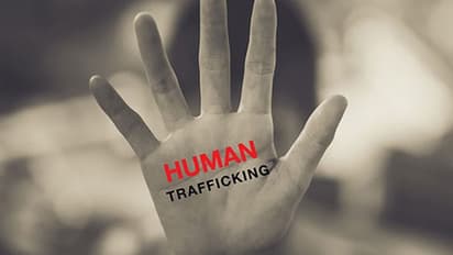 മൂട്ട ശല്യം മൂലം അമേരിക്കയിൽ പൊളിഞ്ഞത് മനുഷ്യക്കടത്ത്, അറസ്റ്റിലായവരിൽ ഇന്ത്യക്കാരും