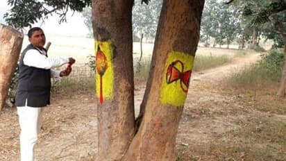 വനനശീകരണം കടുത്തപ്പോള് ഈ ഗ്രാമത്തലവന് ദൈവത്തെ ആശ്രയിച്ചു, അതോടെ കഥ മാറി!