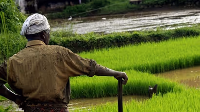 ನಮ್ಮ ರೈತರಿಗಿಂತ ವಿದೇಶಗಳ ರೈತರ ಬದುಕು ಹೇಗೆ ಭಿನ್ನ?