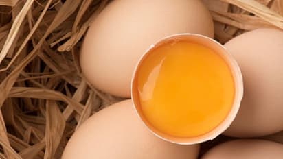 বড়দিন থেকে বিয়ে,  উৎসবের মরসুমে পা দেবেন না পচা ডিমের ফাঁদে