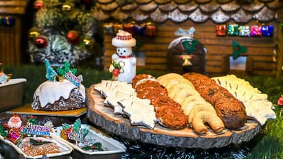 বড়দিনে সুস্বাদু কেকের সম্ভার, সাজিয়ে তুলল কলকাতার সেরা দশ ঠিকানা