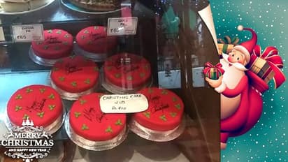 পাহাড় কোলে বড়দিন, সেজে উঠল দার্জিলিং-এর গ্লেনারিজ