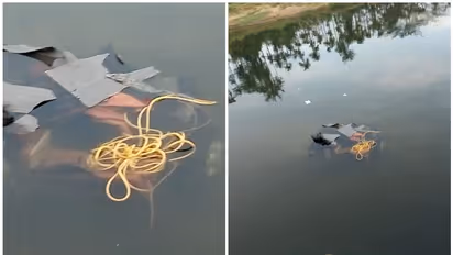 അട്ടപ്പാടിയില് ഫോറസ്റ്റ് ജീപ്പ് പാലത്തിൽ നിന്ന് താഴേയ്ക്ക് മറിഞ്ഞു; രണ്ടുപേര്ക്ക് പരിക്ക്