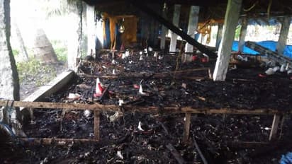 கொழுந்து விட்டு எரிந்த தீயில் கருகிய 4000 கோழிகள்..! பண்ணையில் நிகழ்ந்த பரிதாபம்..!