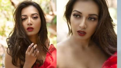 లేడీ 'ఎమ్మెల్యే' ఘాటు అందాలు.. చూస్తే మతిపోవాల్సిందే!