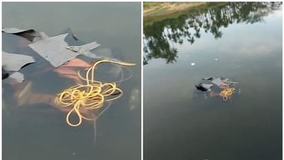 അട്ടപ്പാടിയിൽ ഫോറസ്റ്റ് ജീപ്പ് പുഴയിലേക്ക് മറിഞ്ഞ് അപകടം; ചികിത്സയിലിരുന്ന ഫോറസ്റ്റ് ഓഫീസർ മരിച്ചു