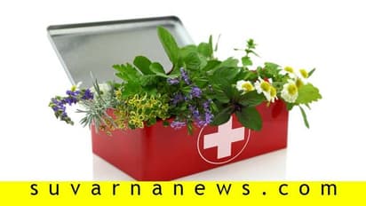 ಸಾಮಾನ್ಯ ಕಾಯಿಲೆಗಳಿಗೆ ಬಳಸಿ ಹರ್ಬಲ್ ಫಸ್ಟ್ ಏಡ್ ಕಿಟ್!