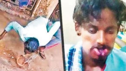 பாம்பிடம் தவறாக நடந்துகொண்ட நபர்...!! உதட்டோடு உதட்டை வைத்து முத்தம் கொடுத்த போது வெறி கொண்ட பாம்பு...!!