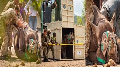 మమ్మల్ని చంపేస్తారా!.. ఇక్కడ మేము బ్రతకకూడదా?