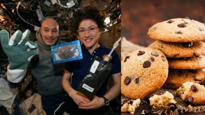 বড়দিনের আনন্দে মাতলেন মহাকাশ্চারীরাও, স্পেস স্টেশনে বানালেন কুকিস