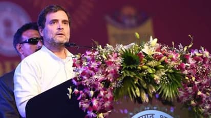 'സഹോദരങ്ങൾ തമ്മിൽ പോരടിക്കുന്നത് രാജ്യത്തിന് ഗുണം ചെയ്യില്ല'; രാഹുൽ ഗാന്ധി