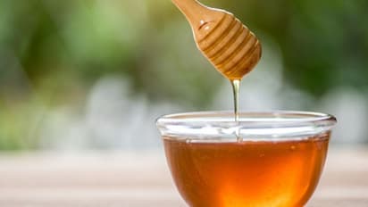 ভেজাল মধু কীভাবে চিনবেন, জেনে নিন আসল ফান্ডা