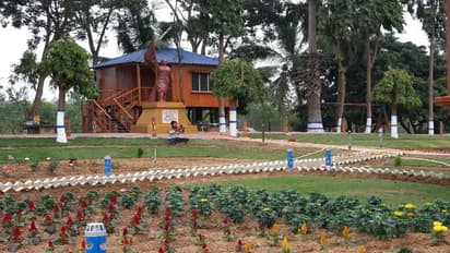 ট্রি হাউসে রাত্রিবাস, এবার শীতের ছুটির ঠিকানা হোক বাঁকুড়া