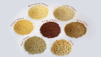 India to export millets grown in Himalayas to Denmark