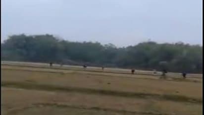 ಅಕ್ರಮ ಬಾಂಗ್ಲಾ ನುಸುಳುಕೋರರು ಭಾರತ ಪ್ರವೇಶಿಸುತ್ತಿರುವ ವಿಡಿಯೋ!