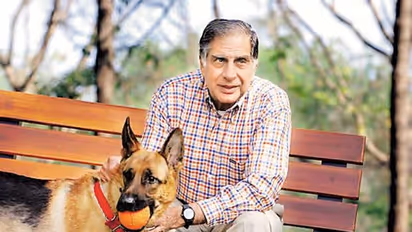 ರತನ್ ಟಾಟಾ ಮುದ್ದಿನ ನಾಯಿ ಖರ್ಚಿಗೆ ಲಕ್ಷ ಲಕ್ಷ ರೂ, ವಿಲ್ನಲ್ಲಿ ಹೃದಯಶ್ರೀಮಂತಿಗೆ ಮೆರೆದ ಉದ್ಯಮಿ