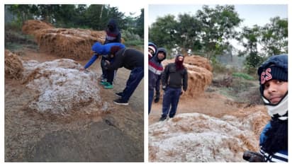 পুরুলিয়ায় তুষারপাত, গ্রামের জুড়ে সাদা আস্তরণ, ভাইরাল ছবি