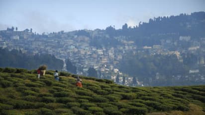ঠান্ডায় কাঁপছে গোটা বাংলা, দশের নীচে কোথায় কোথায় নামল তাপমাত্রা