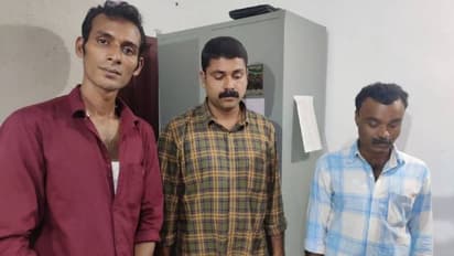 കാട്ടുപോത്തിനെ വേട്ടയാടിയ കേസ്: ഒളിവിലായിരുന്ന പ്രതികൾ കീഴടങ്ങി