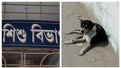 ফেলে দিয়ে গেল প্রিয়জনরা, শীতের রাতে সদ্যোজাতকে আগলে রাখল সারমেয়