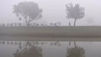 പകല്‍ പോലും അതിശൈത്യത്തില്‍ ഉറയുന്നു; ഹരിയാനയില്‍ സ്‌കൂളുകള്‍ അടച്ചു