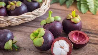 മാങ്കോസ്റ്റിന് ഇലകളിട്ട് ചായ തിളപ്പിച്ചാല്? വീട്ടില്ത്തന്നെ ഇനി നട്ടുവളര്ത്താം