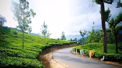 ജാഗ്രതയും പ്രതിരോധവും കൈവിടാതെ മൂന്നാര് ടൗണ് സജീവമായി; നിയന്ത്രണങ്ങളോടെ വാഹനങ്ങള് ഓടാന് അനുമതി