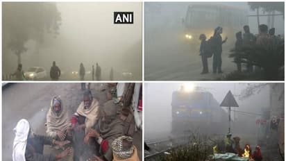 അതിശൈത്യത്തില് വിറങ്ങലിച്ച് ഉത്തരേന്ത്യ; ട്രെയിനുകൾ വൈകിയോടുന്നു, രാജസ്ഥാനില് അപകടത്തില് രണ്ട് മരണം