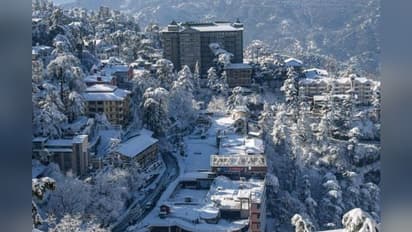 वैज्ञानिकों के लिए पहेली बनी ठंड, बदलते मौसम के मिजाज से हैं परेशान