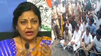 పవన్... మూడు రాజధానులంటే మూడు పెళ్లిల్లలా కాదు: నారమల్లి పద్మజ