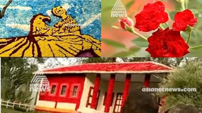 നക്ഷത്രച്ചെടികൾ കൊണ്ട് വനം, പഴശേഖരവും വളര്‍ത്തുമൃഗങ്ങളുമടക്കം ഏറെയുണ്ട് വസന്തോത്സവത്തില്‍