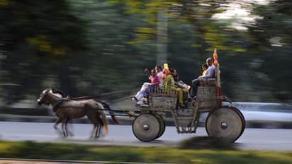 রবিবার পর্যন্ত শুষ্ক আবহাওয়া থাকবে কলকাতায়, মার্চের শুরুতে ফের বৃষ্টি