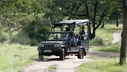 ಹೊಸವರ್ಷ: ಬಂಡೀಪುರದಲ್ಲಿ ಸಫಾರಿಗೆ ಪ್ರವಾಸಿಗರ ದಂಡು