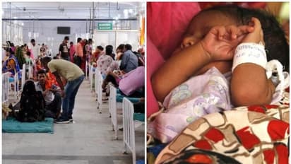 പിഞ്ചുകുഞ്ഞുങ്ങളുടെ ചാവുനിലമായി മാറുന്ന രാജസ്ഥാൻ, ഒരൊറ്റ ആശുപത്രിയിൽ മാത്രം കഴിഞ്ഞകൊല്ലം മരിച്ചത് ആയിരത്തോളം കുട്ടികൾ