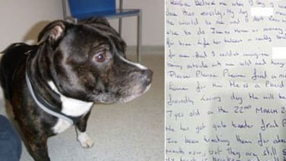 ഉപേക്ഷിക്കപ്പെട്ട പട്ടിക്കുട്ടിയും കൂടെ ചങ്ക് പൊള്ളിക്കുന്നൊരു കത്തും!