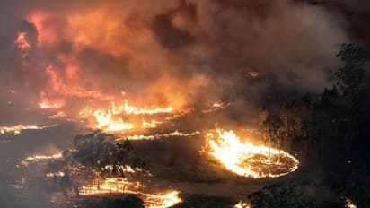 ಗದಗ: ಕಪ್ಪತ್ತಗುಡ್ಡಕ್ಕೆ ಬೆಂಕಿ, ಅಪಾರ ಪ್ರಮಾಣದಲ್ಲಿ ಅರಣ್ಯ ನಾಶ