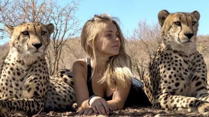 ഊണും ഉറക്കവും എല്ലാം ചീറ്റകളോടൊപ്പം; ജീവിതകഥ പറഞ്ഞ് പെണ്‍കുട്ടി !