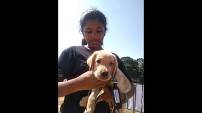 YMCA மினி மைதானத்தில் நடந்த கண்கவர் நாய்கள் கண்காட்சி! அழகிய செல்ல பிராணிகளுடன் வந்த எஜமான்கள்! புகைப்பட தொகுப்பு...