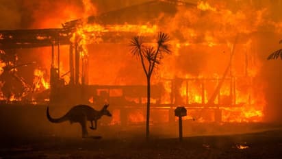Australia bushfire crisis: As death toll climbs to 24, PM Scott Morrison sets up national recovery agency