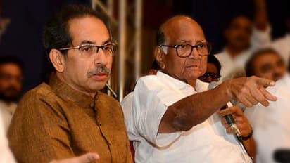 కేబినెట్ కీలక బెర్తులన్నీ ఎన్సీపీకే: శరద్ మాటను కాదనని ఉద్ధవ్