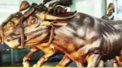 ಮಂಗಳೂರು ವಿಮಾನ ನಿಲ್ದಾಣದಲ್ಲಿ ಕಂಬಳದ ಜೋಡೆತ್ತು..!