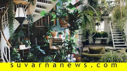 ಹೊಸದಾಗಿ ಏನಾದ್ರೂ ಟ್ರೈ ಮಾಡ್ಬೇಕಾ? ಮನೆಯನ್ನು ಇಕೋ ಫ್ರೆಂಡ್ಲಿಯಾಗಿ ಮಾಡಿ!