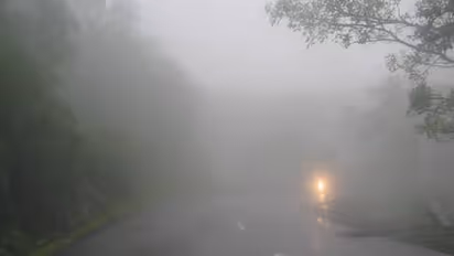 ಸುಂದರ ಶಿರಾಡಿ ಘಾಟಿಯಲ್ಲಿ ಸಂಚರಿಸುವಾಗ ಎಚ್ಚರ! ನಿಂತಲ್ಲೇ ನಿಂತಿವೆ ವಾಹನ