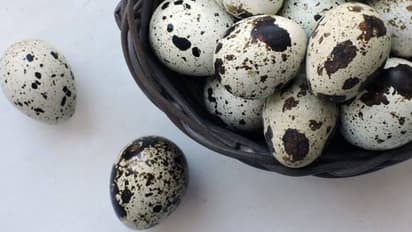 കാടമുട്ടയ്ക്ക് ഇത്രയും ​ഗുണങ്ങളോ..?