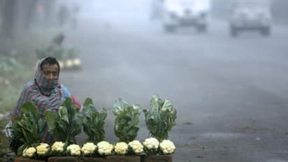 সোমবার রাত থেকেই শহরে আবহাওয়ার পরিবর্তন, চলতি সপ্তাহে ফের বৃষ্টির পূর্বাভাস