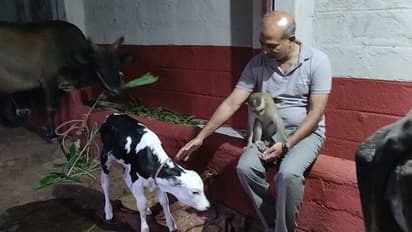 ಕೋತಿ ಅಂತ್ಯ ಸಂಸ್ಕಾರಕ್ಕೆ ಫಾರಿನ್ ಟ್ರಿಪ್ ಮೊಟಕುಗೊಳಿಸಿ ಬಂದ ಶಾಸಕ..!